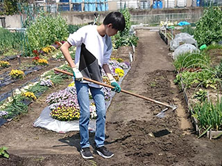 お孫さんもお手伝い！