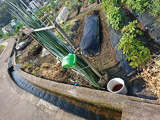 農園の周りの水路